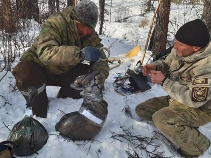 В заповеднике на границе Хакасии и Тувы сняли рекордное количество браконьерских петель