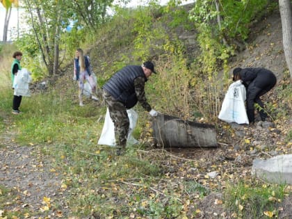 Мэр Красноярска поучаствовал в субботнике и высадил яблони