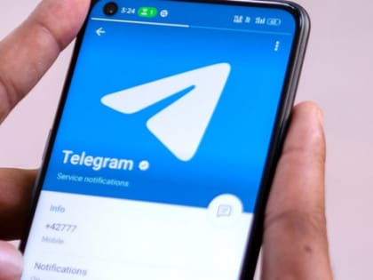 Логинов рассказал об использовании Telegram для решения проблем Красноярска