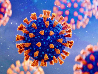 В Красноярске обнаружен новый вид коронавируса «цербер»