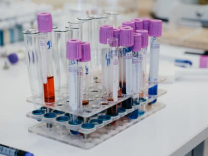 Федеральный исследовательский центр 
«Красноярский научный центр
Сибирского отделения Российской академии наук»