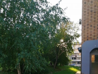 Что нам стоит дорогу построить