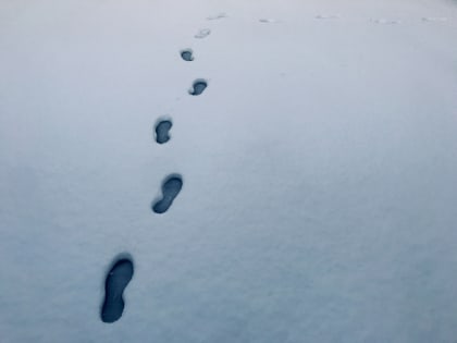 В Красноярском крае неделю не могут найти мужчину, пропавшего на реке Оя