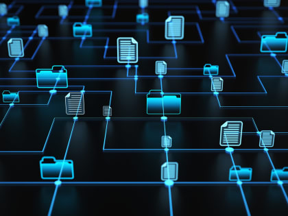 ФНС помогает регионам управлять на основе данных