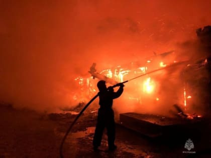 В Идринском районе в загоревшемся коровнике погибли 44 телёнка