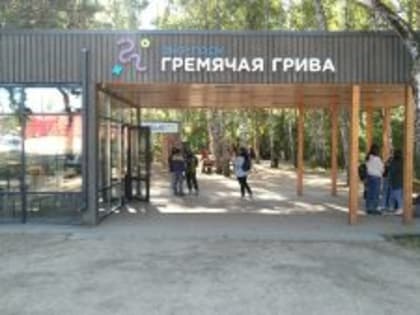 Шагай к здоровью!