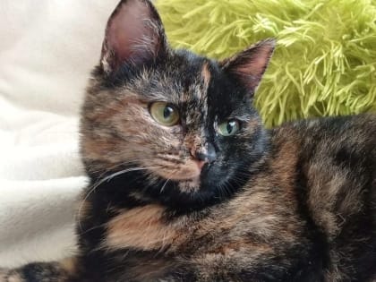 Делаем добро!