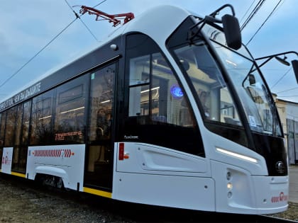 «Люди не должны собирать бумажки»: сессия ЗС Красноярского края приняла общественно значимые решения