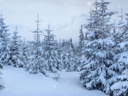 В предстоящие выходные в Красноярске температура воздуха опустится до -24 градусов