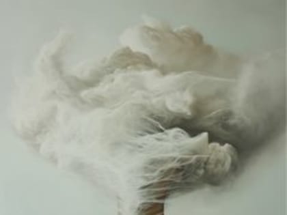 Как сохранить психическое здоровье в современном мире