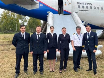 Причиной посадки A320 на пшеничном поле стали ошибки экипажа