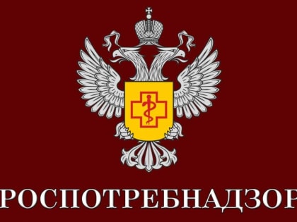 Школы проверят на предмет готовности столовых к организации питания после зимних каникул