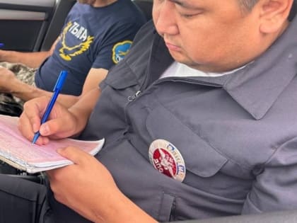 Два жителя Тувы лишились легковых автомобилей за пьяное вождение  