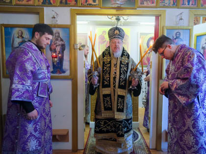 Владыка Пантелеимон: Святитель Лука врачевал и духовной силой — энергией своей веры