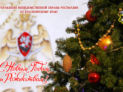 «Безопасный Новый год с сотрудниками Росгвардии»