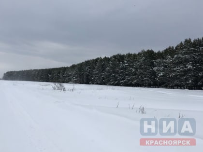 Глава региона принял участие в совещании по развитию лесопромышленного комплекса под председательством Владимира Путина