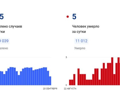 5 человек скончались от коронавируса в Красноярском крае за сутки