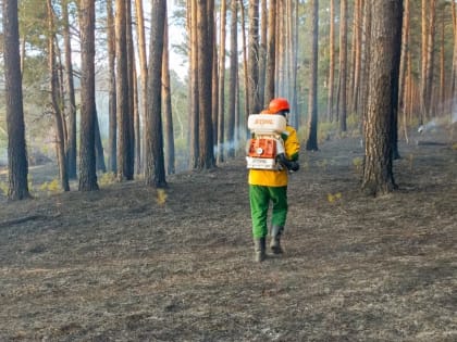 Виновник пожара в Шушенском районе заплатит штраф в размере 50 тысяч рублей