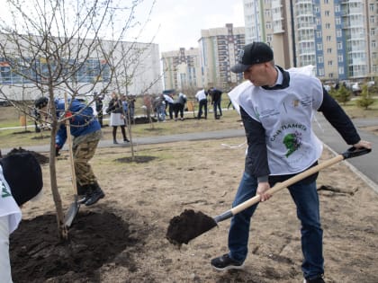 Яблони в память о павших в Великой Отечественной войне высадили в красноярской Покровке