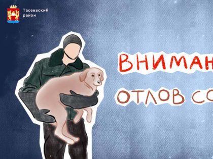 Информационное сообщение