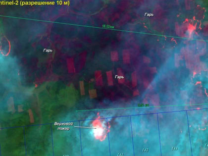 В Красноярске изобрели систему спутникового слежения за пожарами