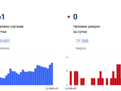 В Красноярском крае за сутки коронавирус обнаружен у 161 человека