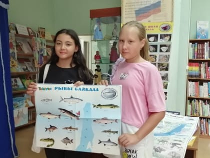 Летние курсы 