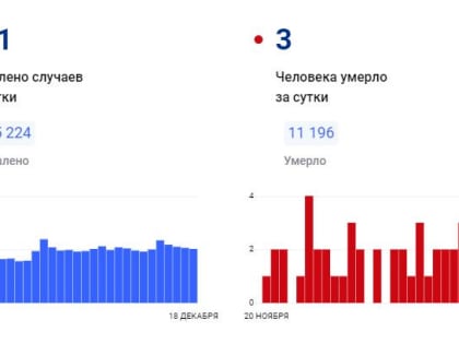 В Красноярском крае за сутки коронавирус обнаружен у 101 человека