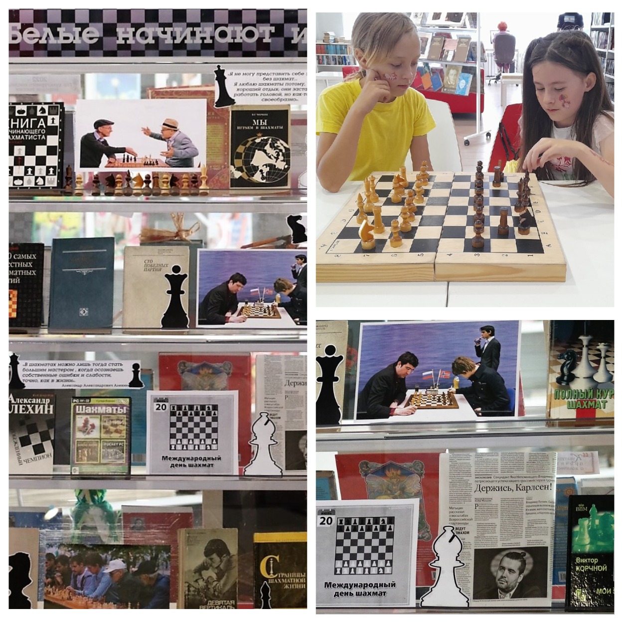 Chess libraries. Шахматы в библиотеке. Шахматная библиотека.