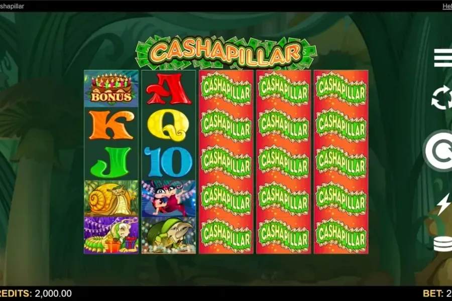 Cashapillar