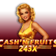 Cash'n Fruits 243 X game icon