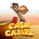 Cash Camel game icon