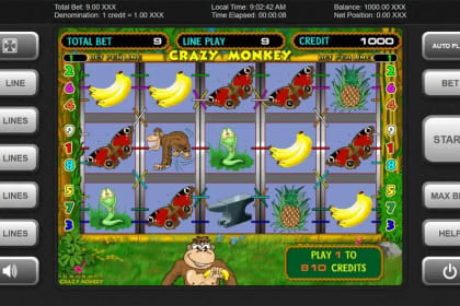 Crazy Monkey gameplay image