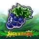 Juice and Fruits game icon