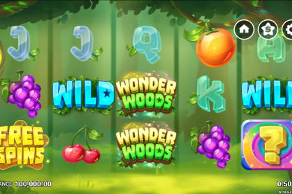 Wonder Woods gameplay image