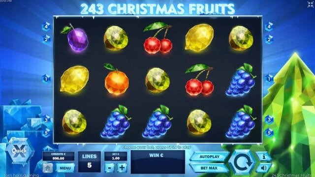 243 Christmas Fruits