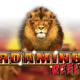 Roaming Reels game icon