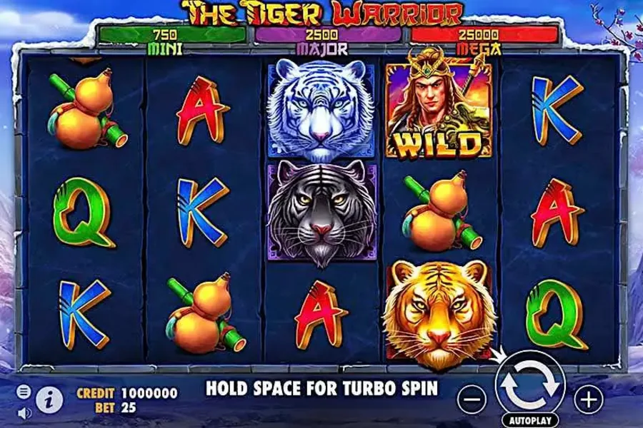 The Tiger Warrior