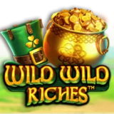Wild Wild Riches