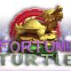 Fortune Turtle game icon
