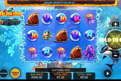 Splash Cash gameplay image