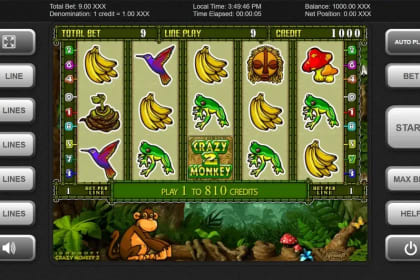 Crazy Monkey 2 gameplay image