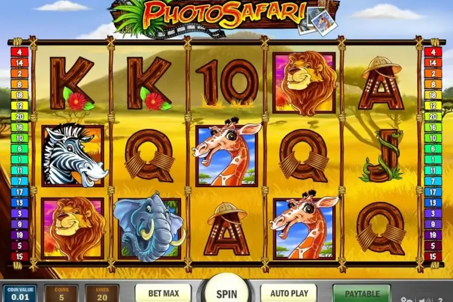 Photo Safari