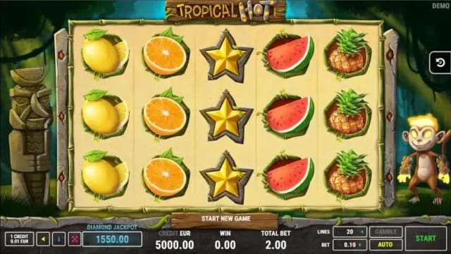 Tropical Hot