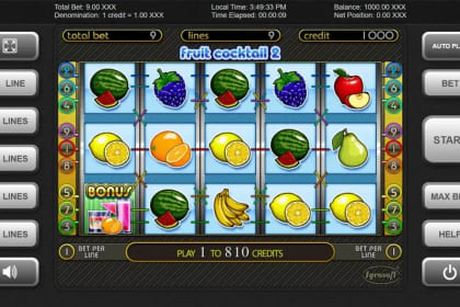 Fruit Cocktail 2 gameplay image