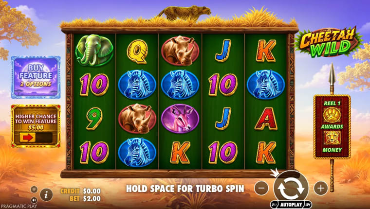 cheetah wild gameplay image