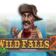 Wild Falls 2 game icon