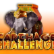 Carthage Challenge game icon