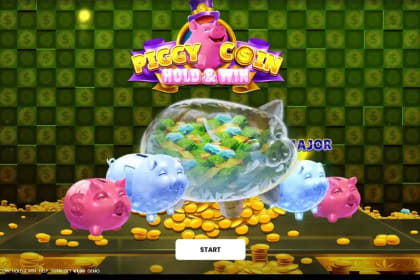 Piggy Coin: Hold & Win gameplay image