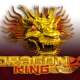 Dragon King game icon
